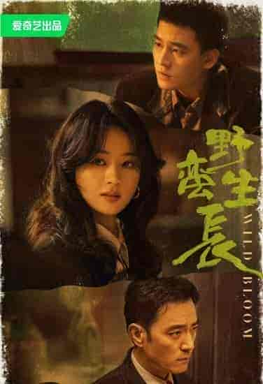 مسلسل النمو الوحشي Wild Bloom الحلقة 35 مترجمة