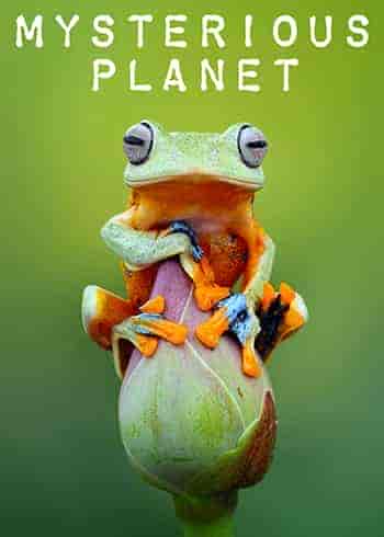 مسلسل Mysterious Planet الموسم الاول الحلقة 4 الرابعة مترجمة
