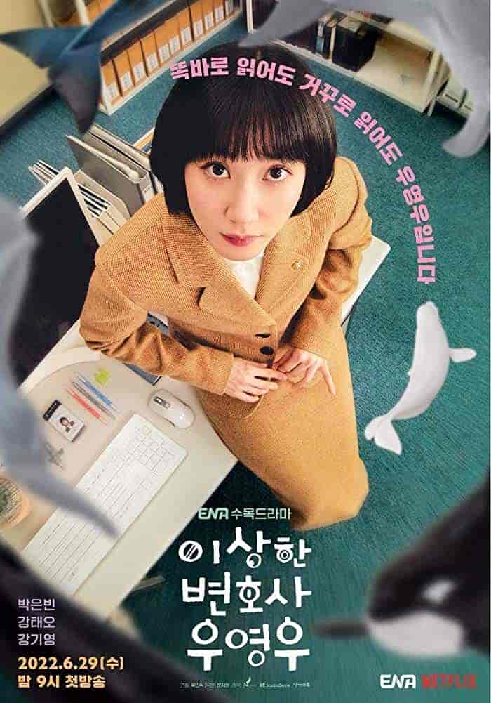 مسلسل المحامية الاستثنائية Extraordinary Attorney Woo الحلقة 12 مترجمة