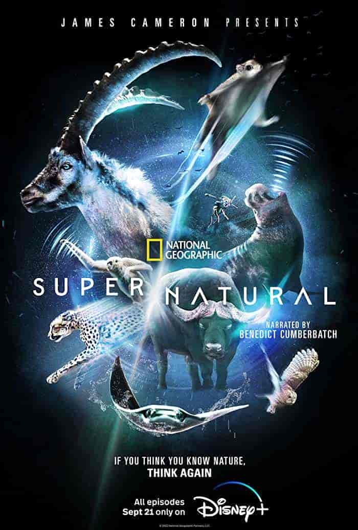 مسلسل Super Natural الموسم الاول الحلقة 6 والاخيرة مترجمة