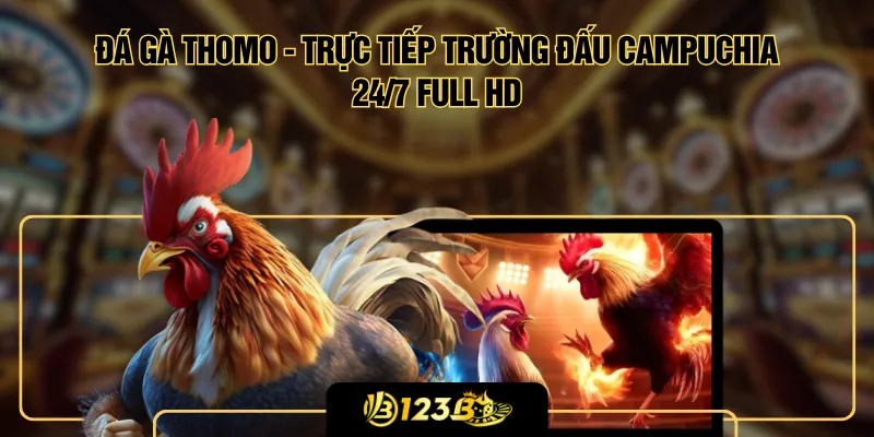 Đá Gà Thomo - Trực Tiếp Trường Đấu Campuchia 24/7 Full HD